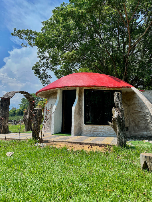 Glamping Fungi